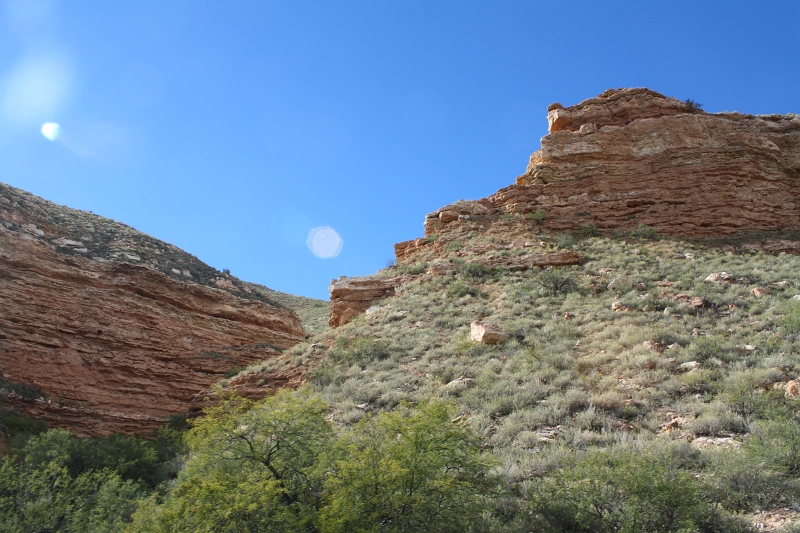 IMG_7035.JPG
