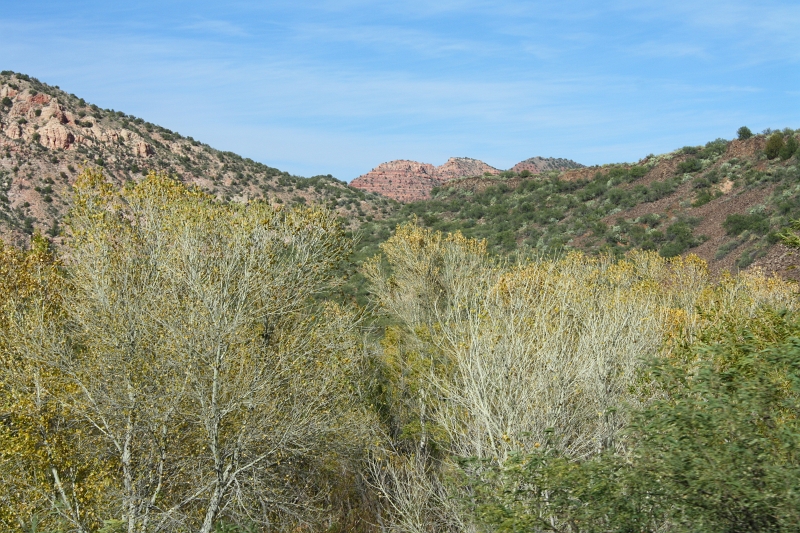 IMG_7081.JPG